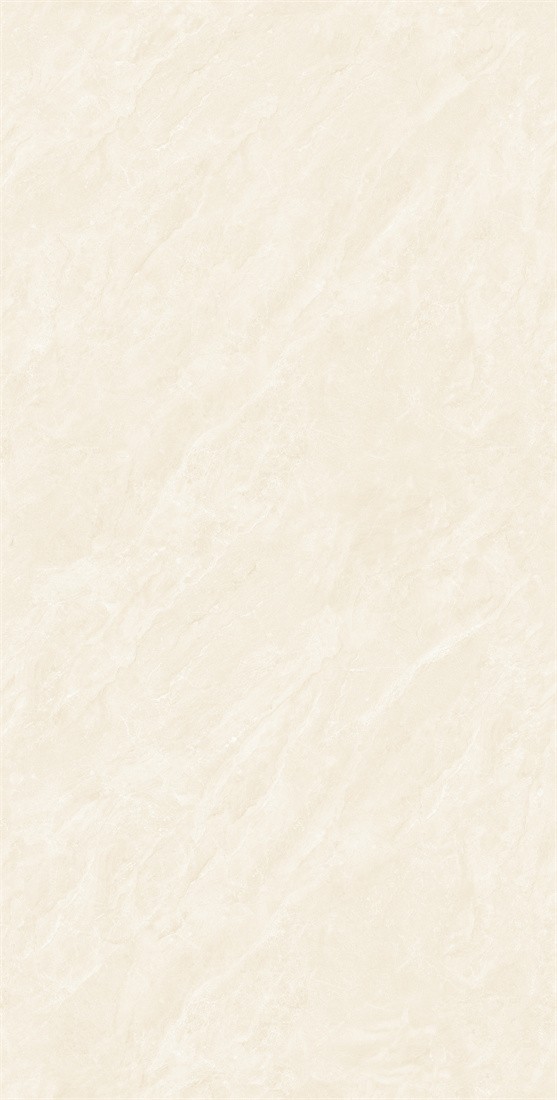 LW75113-2