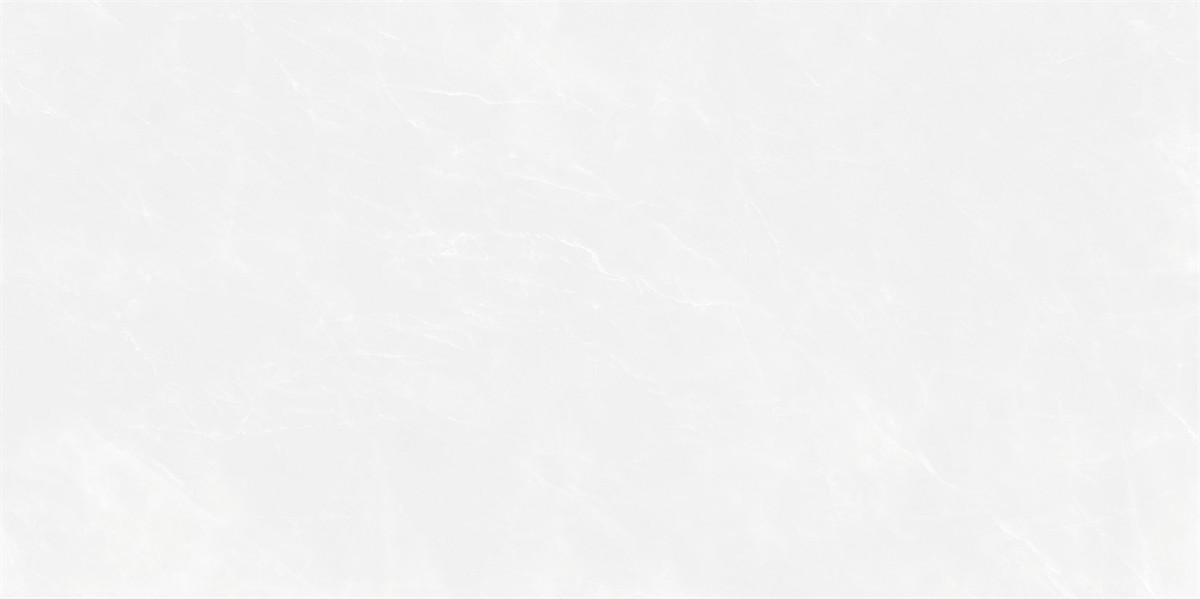 XMP48305-4