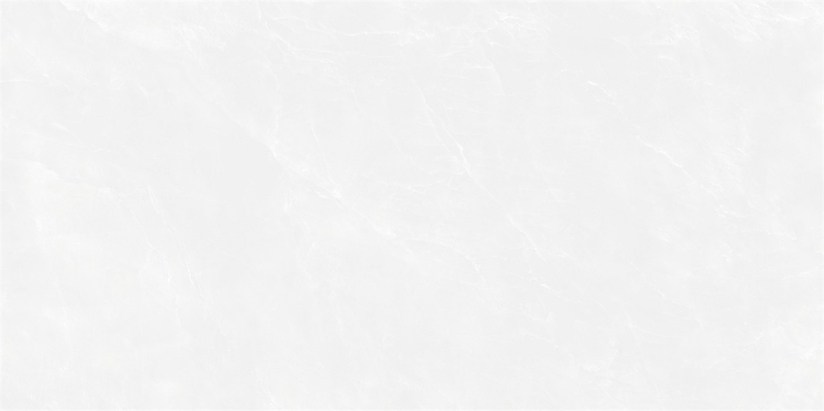 XMP48305-3