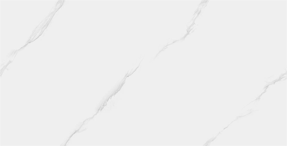 XMP48910-4