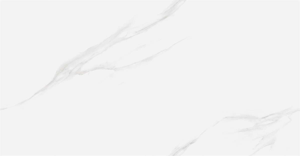 XMP48911-2