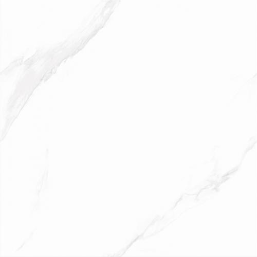 LW8A92 西西里白